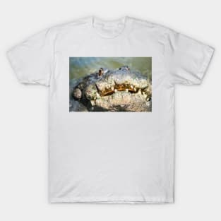 Big Smiling Alligator T-Shirt